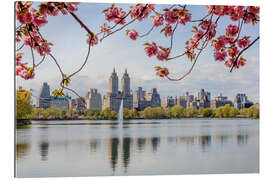 Stampa su plexi-alluminio Edifici riflessi nel lago e fiori di ciliegio in primavera, Central Park, New York