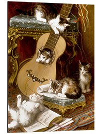 Aluminiumsbilde Kittens at play with a guitar