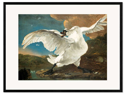 Framed art print The threatened swan