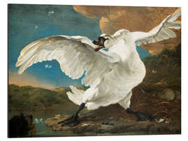 Magnettafel Der bedrohte Schwan