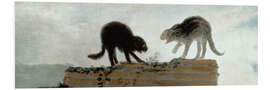 Foam board print Cats fighting