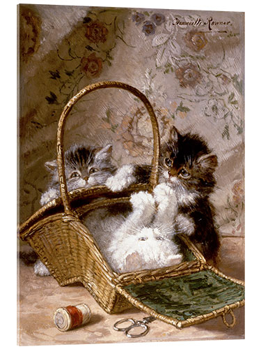 Akrylbillede Young cats with a sewing basket