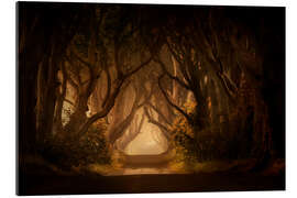 Gallery print Sunny morning in Dark Hedges