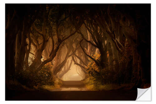 Sticker mural Matin ensoleillé aux Dark Hedges