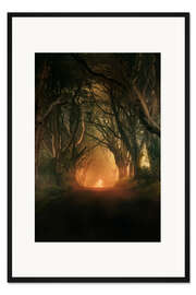 Gerahmter Kunstdruck Dark Hedges in der Morgensonne