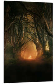 Magnettafel Dark Hedges in der Morgensonne