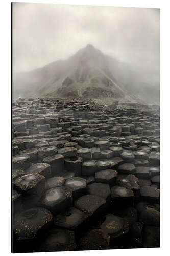 Stampa su alluminio Giant's Causeway at dawn