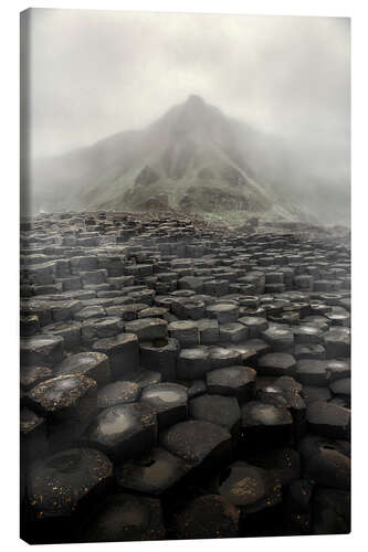 Tableau sur toile Giant's Causeway at dawn