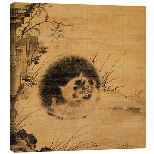 Canvas print cat