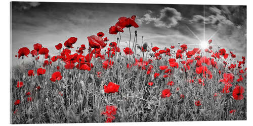 Acrylic print Idyllic poppy field with sun