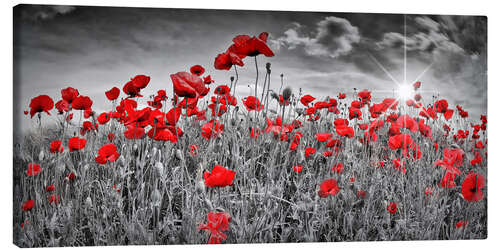 Obraz na płótnie Idyllic poppy field with sun