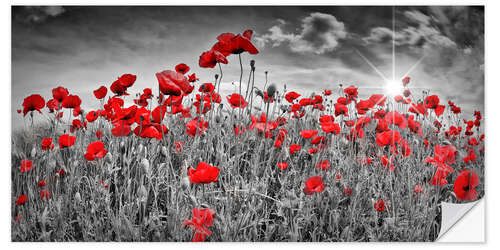 Selvklebende plakat Idyllic poppy field with sun