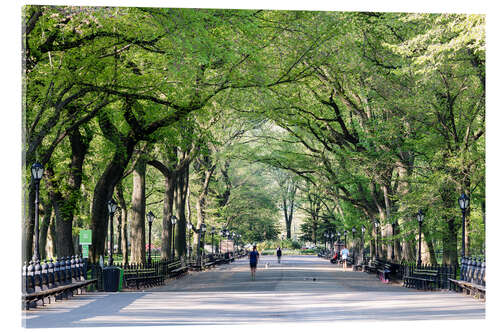 Acrylic print The Mall in spring, Central park, New York city, USA