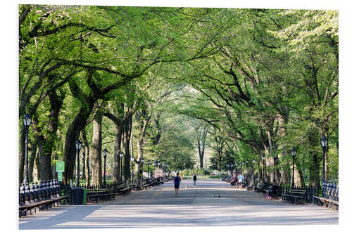 Foam board print The Mall in spring, Central park, New York city, USA