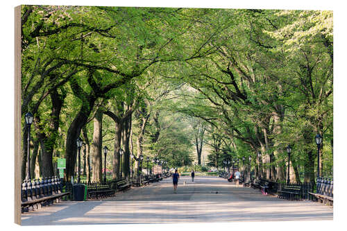 Wood print The Mall in spring, Central park, New York city, USA