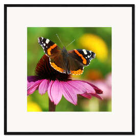 Impressão artística com moldura Butterfly