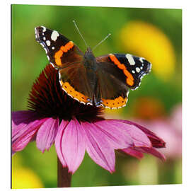Magnettafel Schmetterling