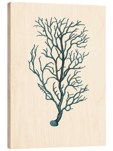 Wood print Turquoise-blue coral, branches