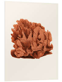 PVC-taulu Red coral - Patruschka