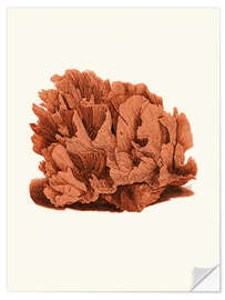 Naklejka na ścianę Red coral - Patruschka