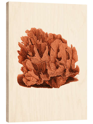 Tableau en bois Corail plume d'autruche rouge