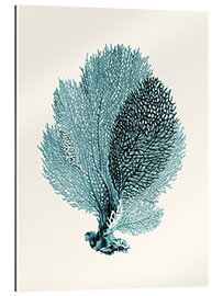 Quadro em plexi-alumínio Turquoise coral, fan