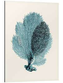 Magnettafel Türkisfarbene Koralle, Fächer