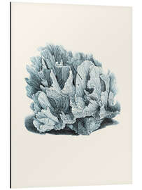 Magnettafel Graue Koralle