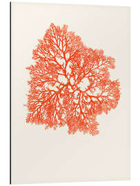 Magnettafel Rote Koralle, verzweigt