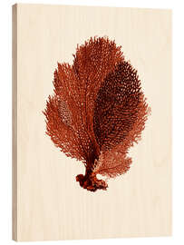 Wood print Red coral, fan