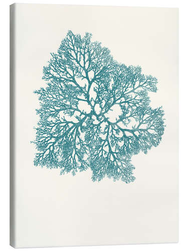 Canvas print Coral, turquoise