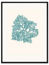 Gerahmter Kunstdruck Koralle, türkis