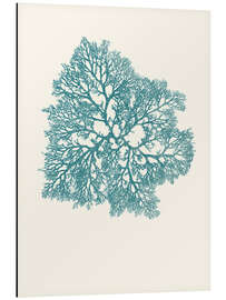 Magnettafel Koralle, türkis