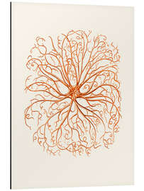 Tableau en aluminium Corail, tentacules