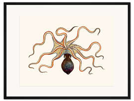 Gerahmter Kunstdruck Oktopus
