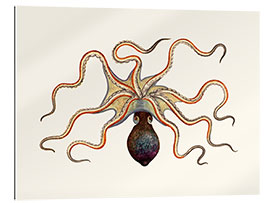 Tableau en plexi-alu Octopus