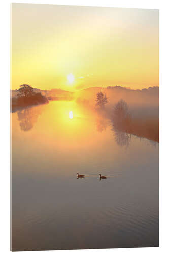 Acrylic print Geese in Sunrise