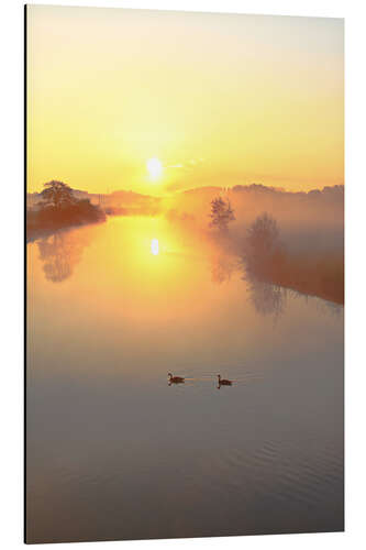 Tableau en aluminium Canards au lever du soleil 