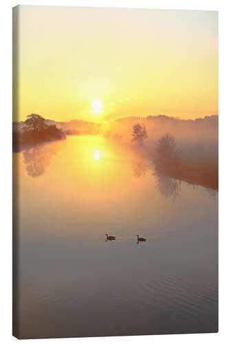 Canvas print Geese in Sunrise