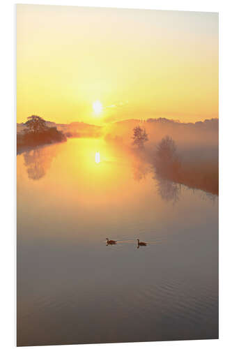 Foam board print Geese in Sunrise