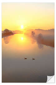 Muursticker Geese in Sunrise