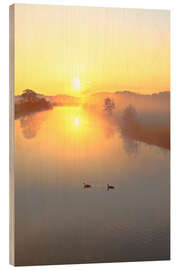 Wood print Geese in Sunrise