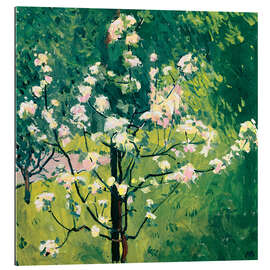 Tableau en plexi-alu Arbre en fleurs dans le jardin