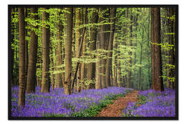 Gerahmter Kunstdruck Der blaue Teppich