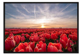 Gerahmter Kunstdruck Tulpen Sonnenuntergang Landschaft