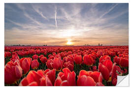 Wall sticker Tulips sunset landscape