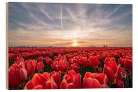 Wood print Tulips sunset landscape