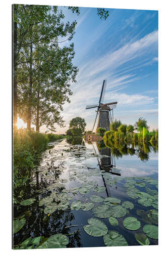 Quadro em plexi-alumínio Sunset Windmill landscape