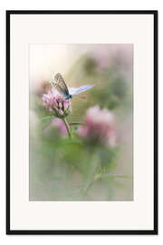 Gerahmter Kunstdruck Ich kann an nichts anderes denken als an Zärtlichkeit