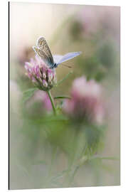 Magnettafel Ich kann an nichts anderes denken als an Zärtlichkeit
